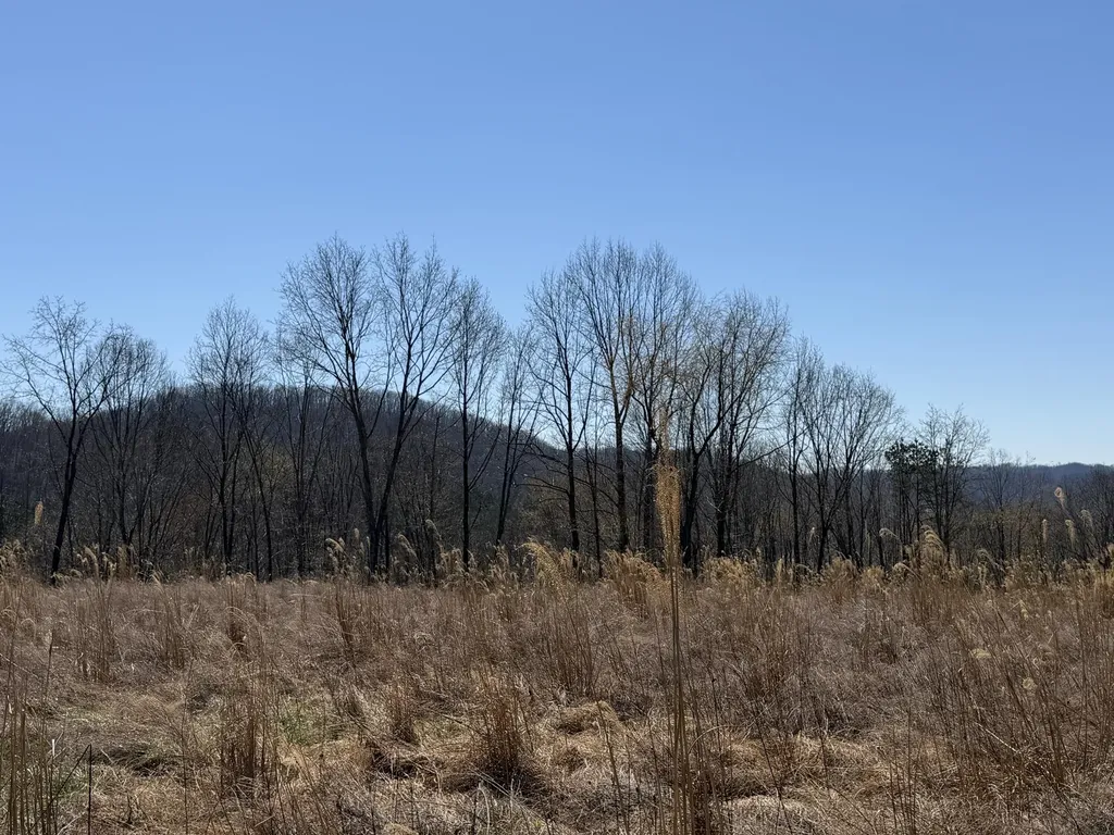 000 North Us Highway 25e Road Gray KY 40734
