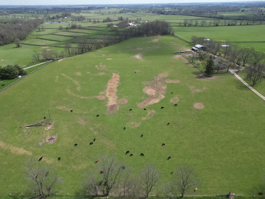 1116 Hedden Road Versailles KY 40383