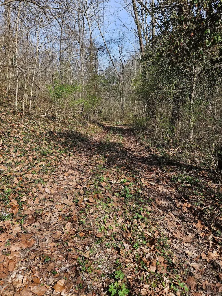 674 Bill Layton Road Lancaster KY 40444