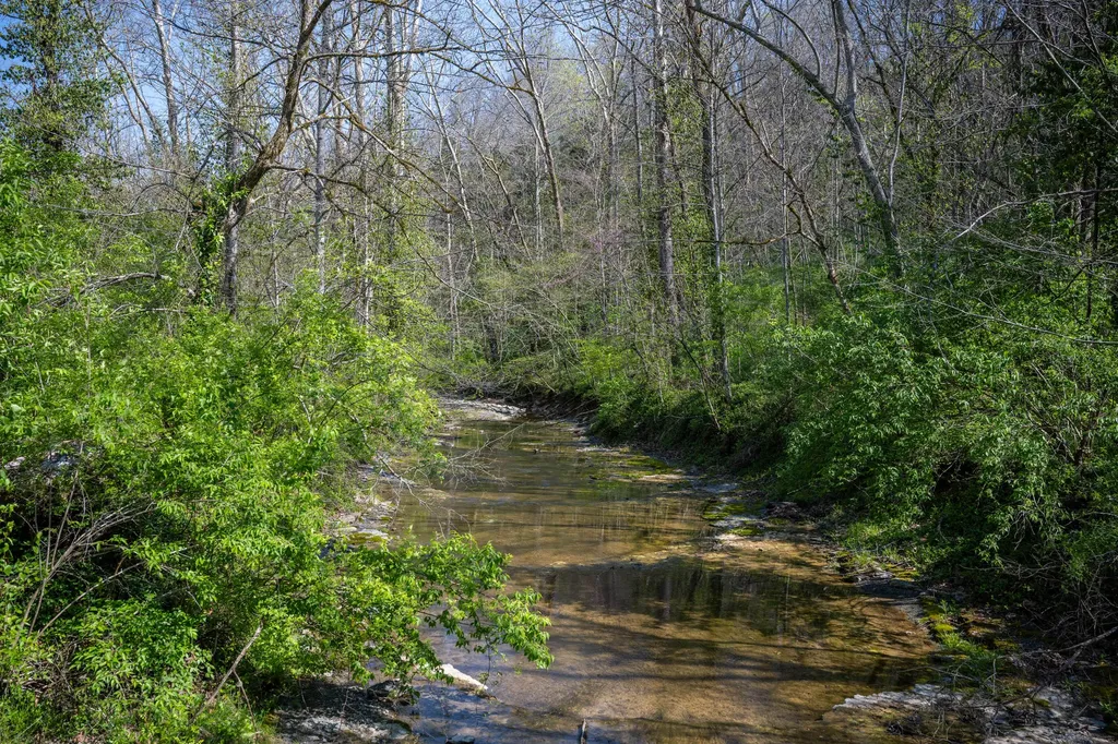 674 Bill Layton Road Lancaster KY 40444