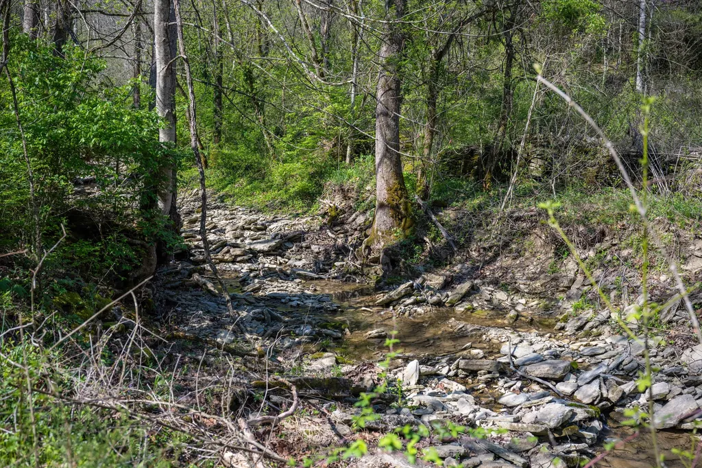 674 Bill Layton Road Lancaster KY 40444