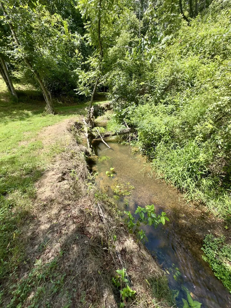 7120 N Highway 127 Albany KY 42602