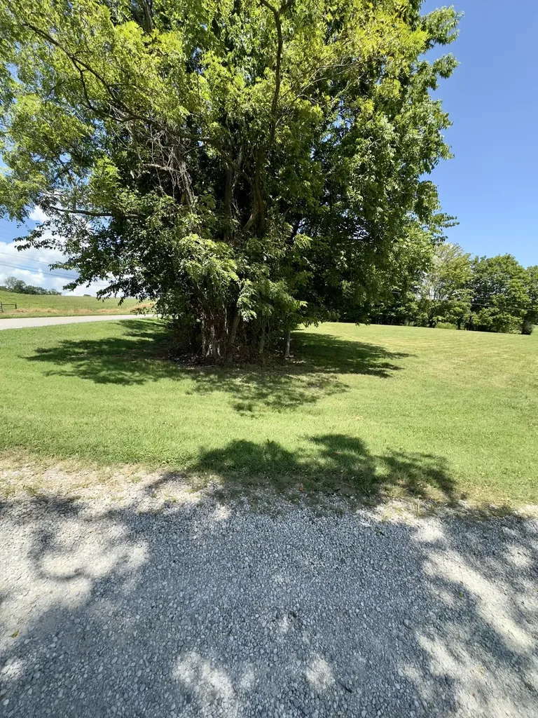 7120 N Highway 127 Albany KY 42602