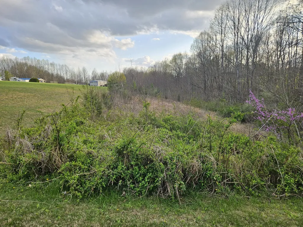 80 Ashley Drive Liberty KY 42539