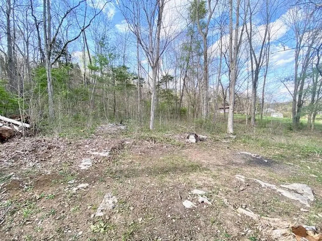 232 State Highway 1258 Monticello KY 42633