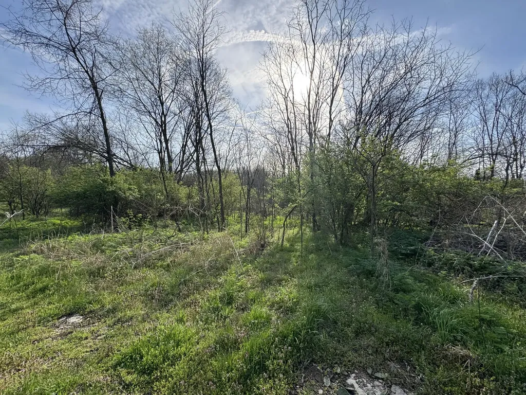 3859 Millersburg Ruddles Mill Road Paris KY 40361