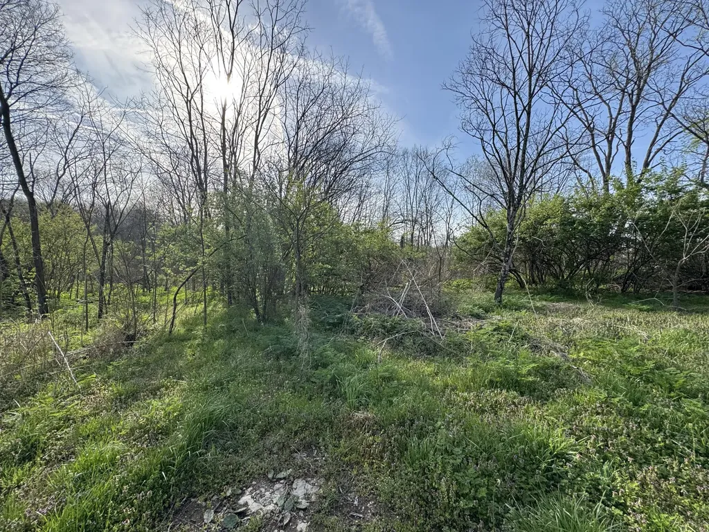 3859 Millersburg Ruddles Mill Road Paris KY 40361