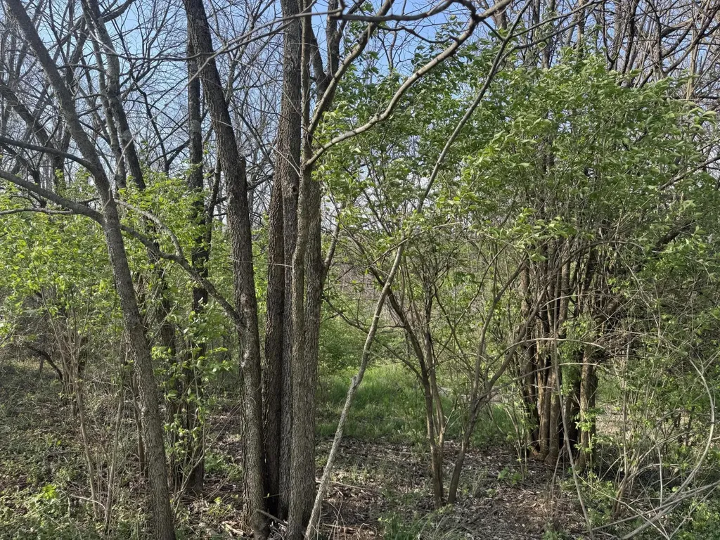 3859 Millersburg Ruddles Mill Road Paris KY 40361