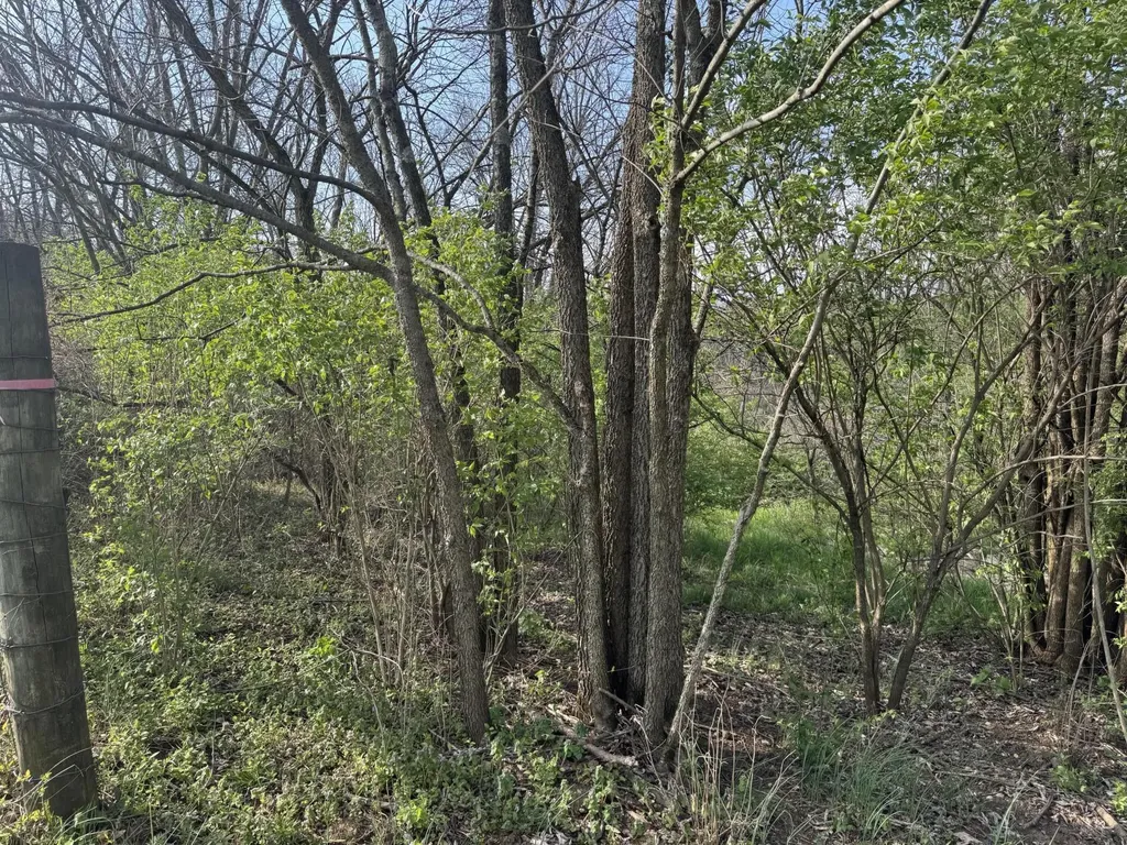3859 Millersburg Ruddles Mill Road Paris KY 40361