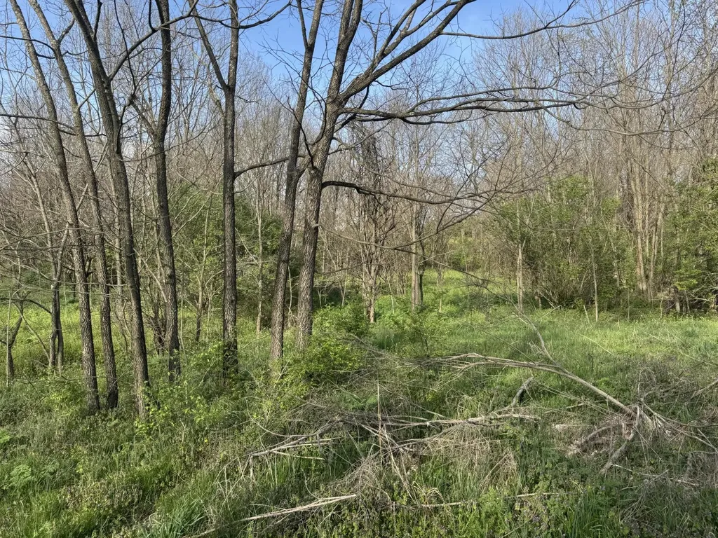 3859 Millersburg Ruddles Mill Road Paris KY 40361