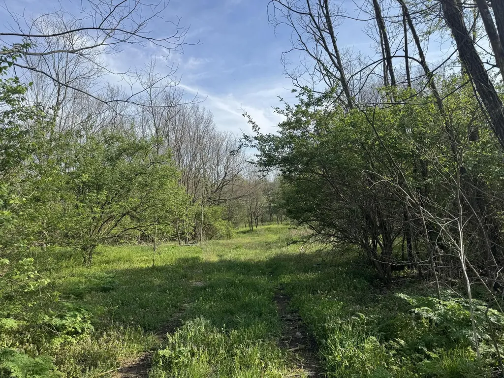 3859 Millersburg Ruddles Mill Road Paris KY 40361