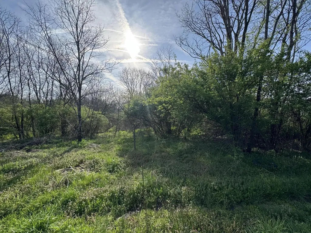 3859 Millersburg Ruddles Mill Road Paris KY 40361