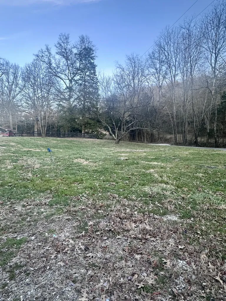 58 Pendleton Branch Road Olympia KY 40358