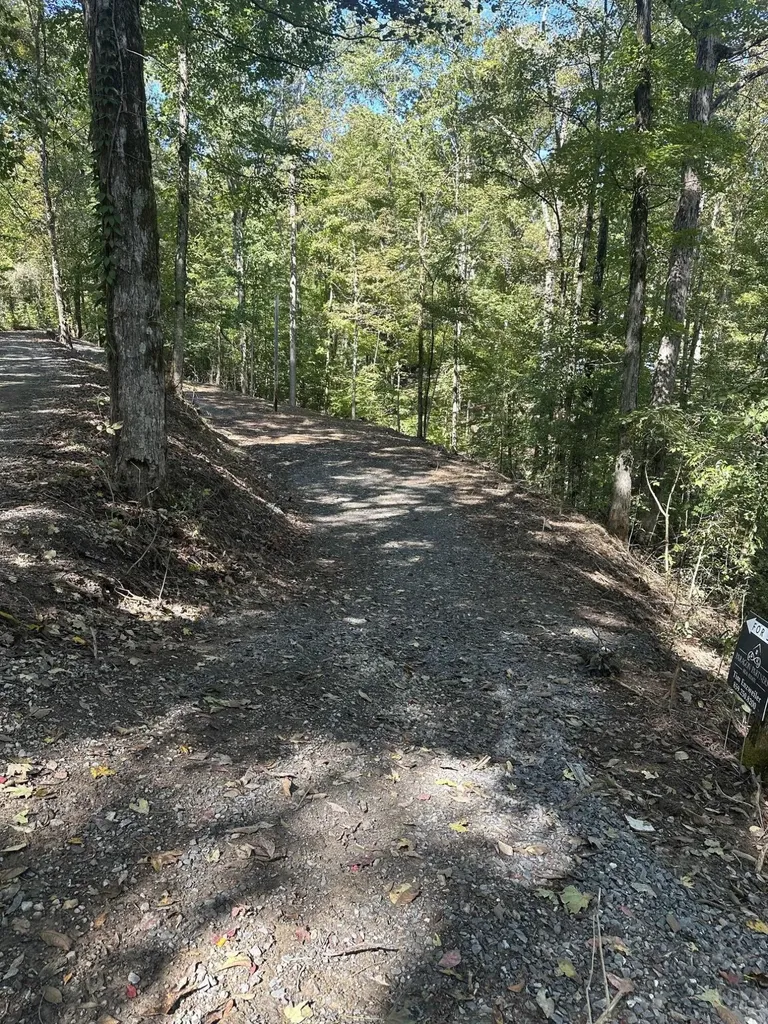 185 Sugar 2 Road Nancy KY 42544