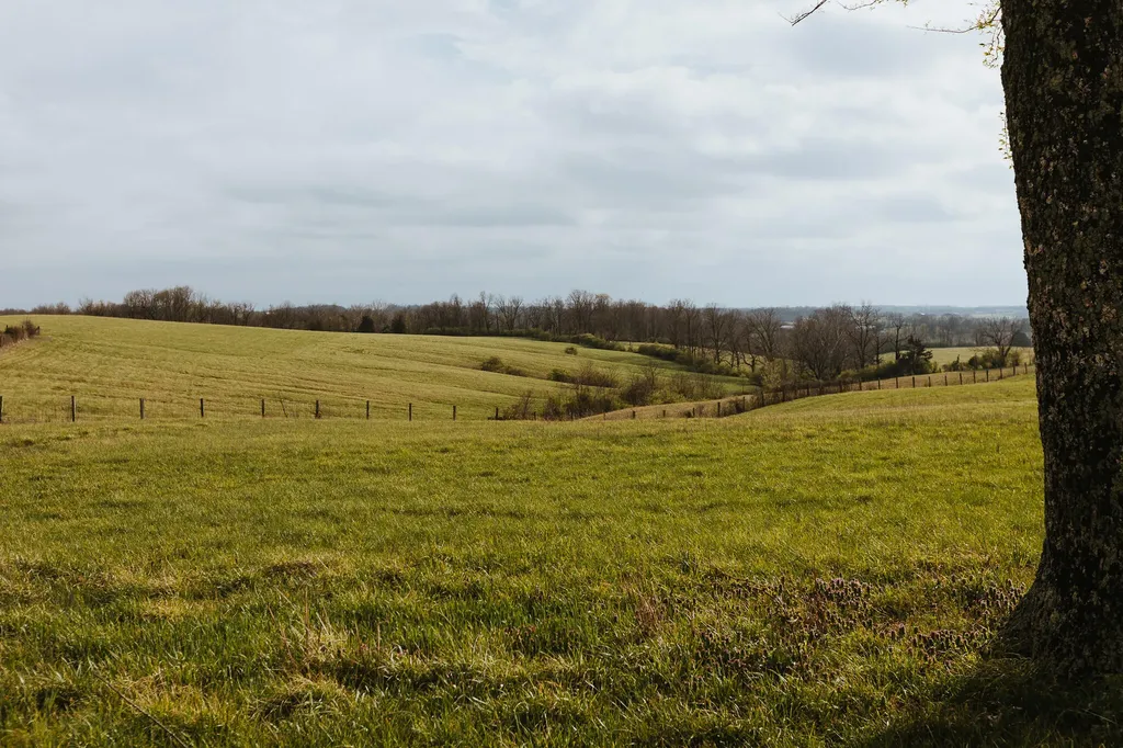5670 Morehead Road Flemingsburg KY 41041