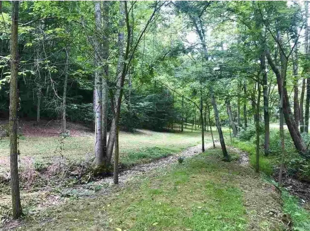 3252 Scotts Branch Road Vanceburg KY 41179