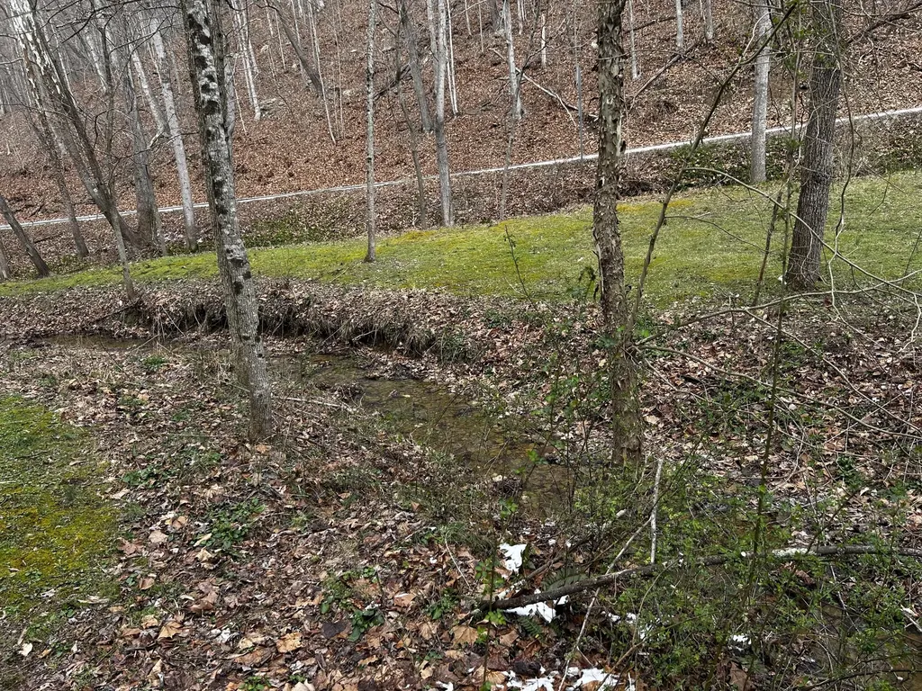 3252 Scotts Branch Road Vanceburg KY 41179