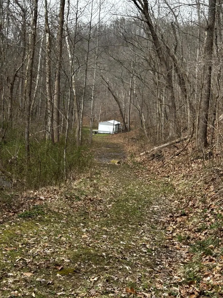 3252 Scotts Branch Road Vanceburg KY 41179