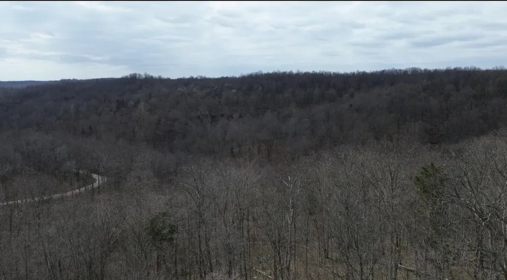 3252 Scotts Branch Road Vanceburg KY 41179