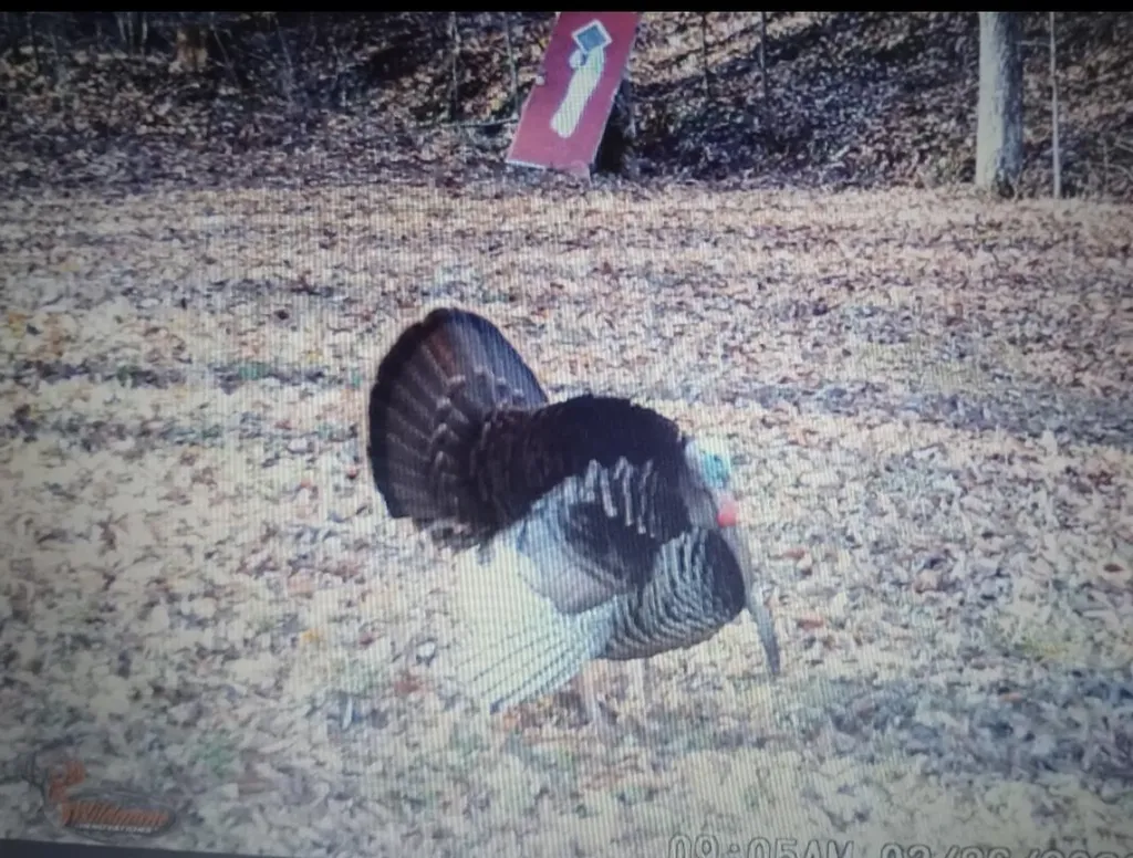3252 Scotts Branch Road Vanceburg KY 41179