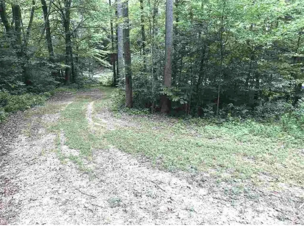 3252 Scotts Branch Road Vanceburg KY 41179