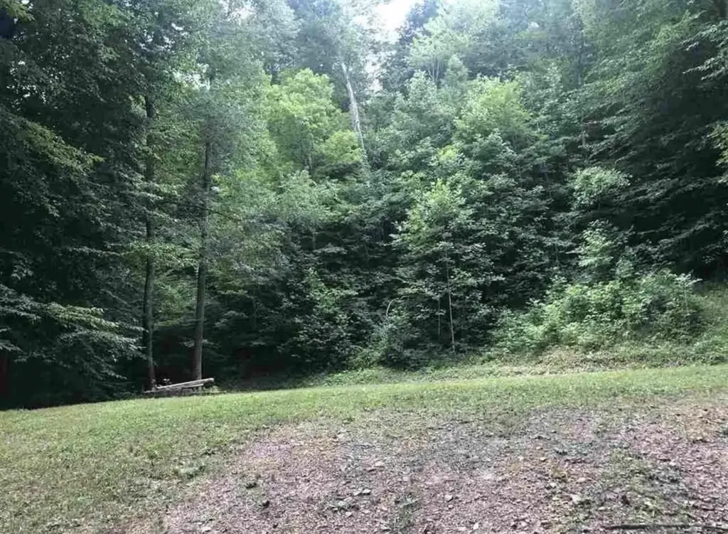 3252 Scotts Branch Road Vanceburg KY 41179