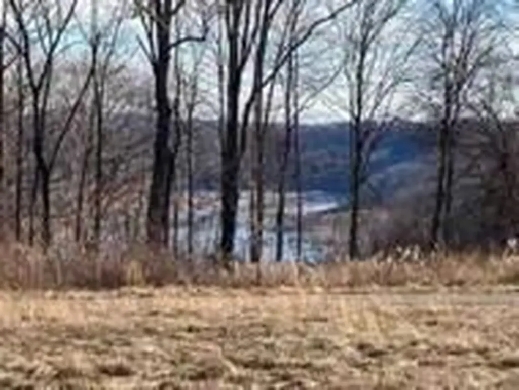 65 Gracie Lane Russell Springs KY 42642