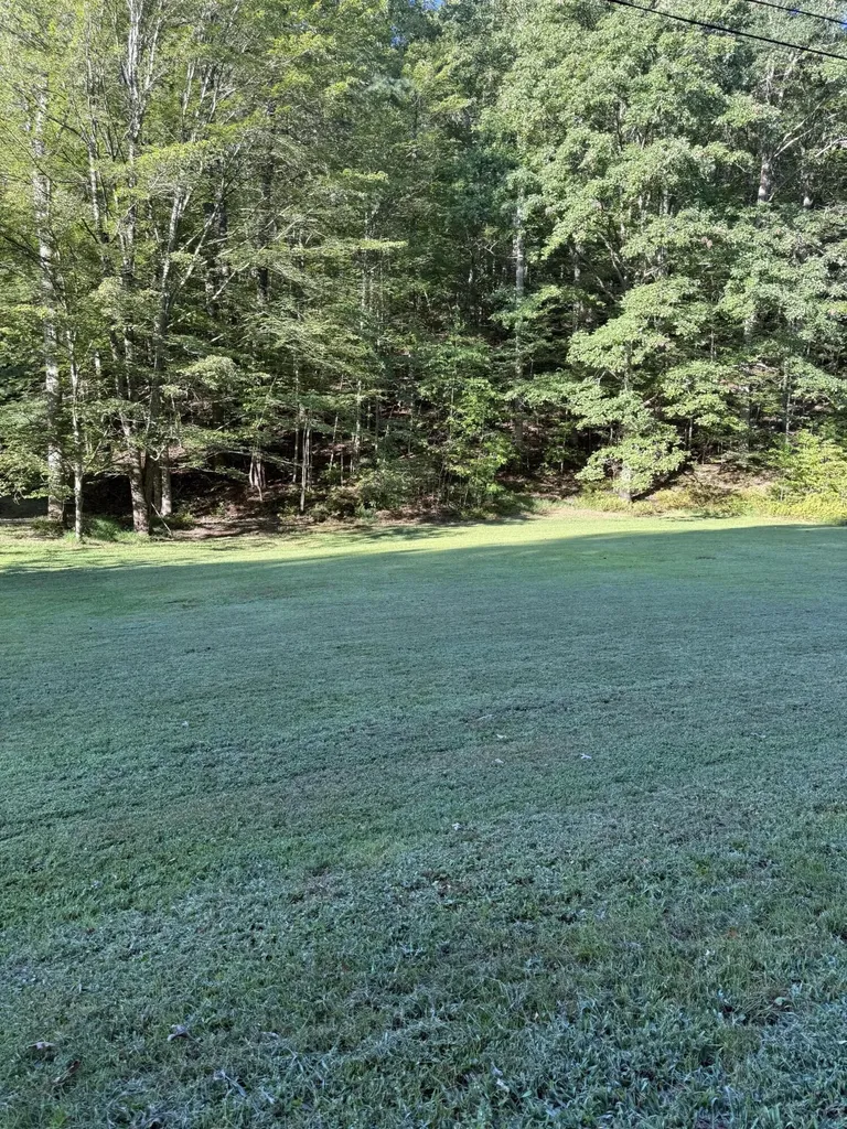 1129 N Wilson Avenue Morehead KY 40351