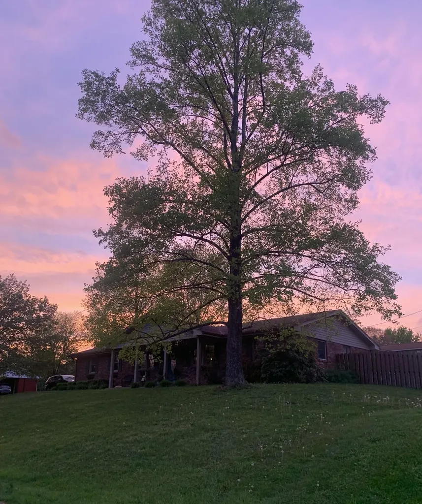 104 Summit Drive Morehead KY 40351
