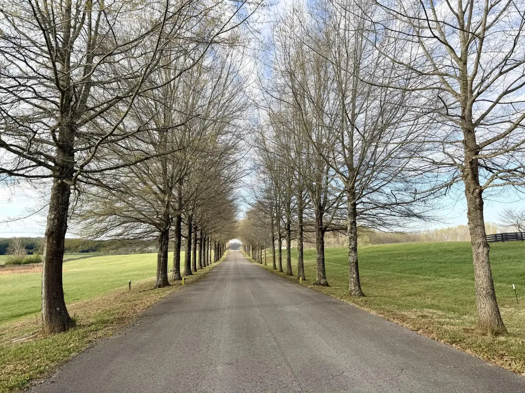 541 Beacon Street Russell Springs KY 42642