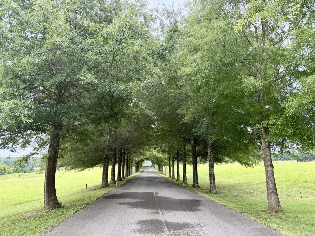 541 Beacon Street Russell Springs KY 42642