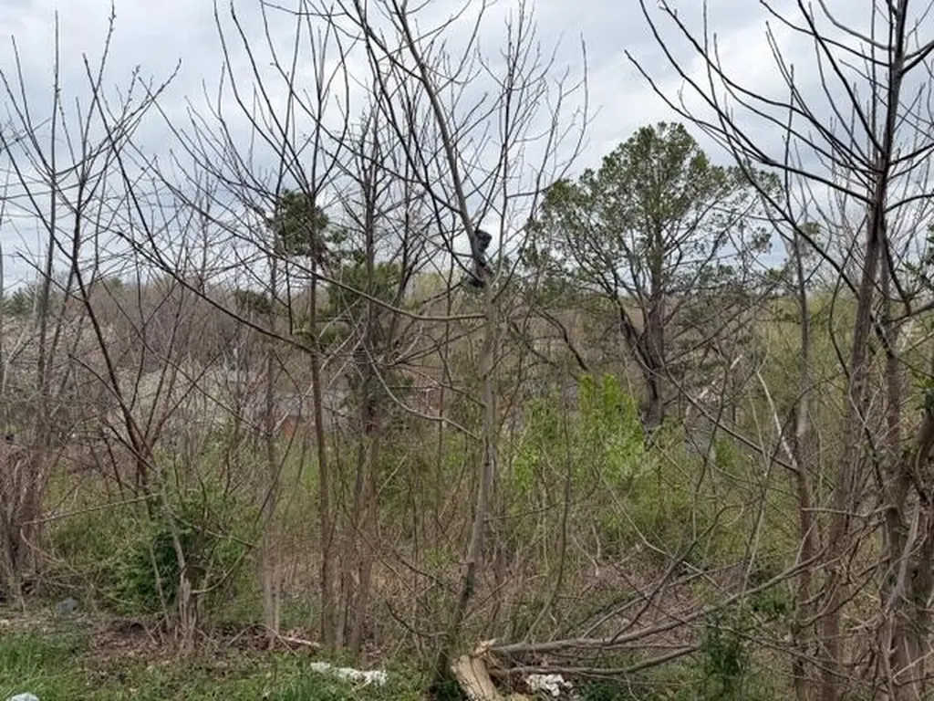 Lot 40 Mcfadden Drive Corbin KY 40701