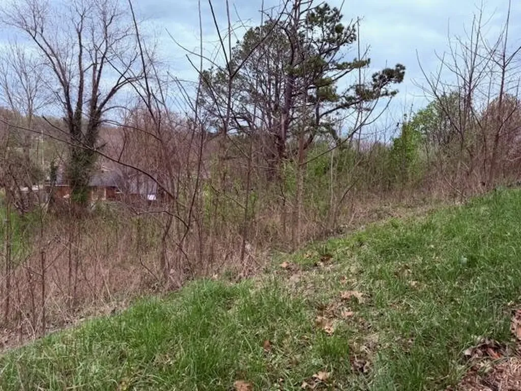 Lot 40 Mcfadden Drive Corbin KY 40701