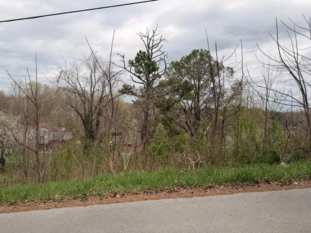 Lot 40 Mcfadden Drive Corbin KY 40701