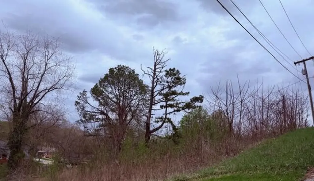 Lot 40 Mcfadden Drive Corbin KY 40701