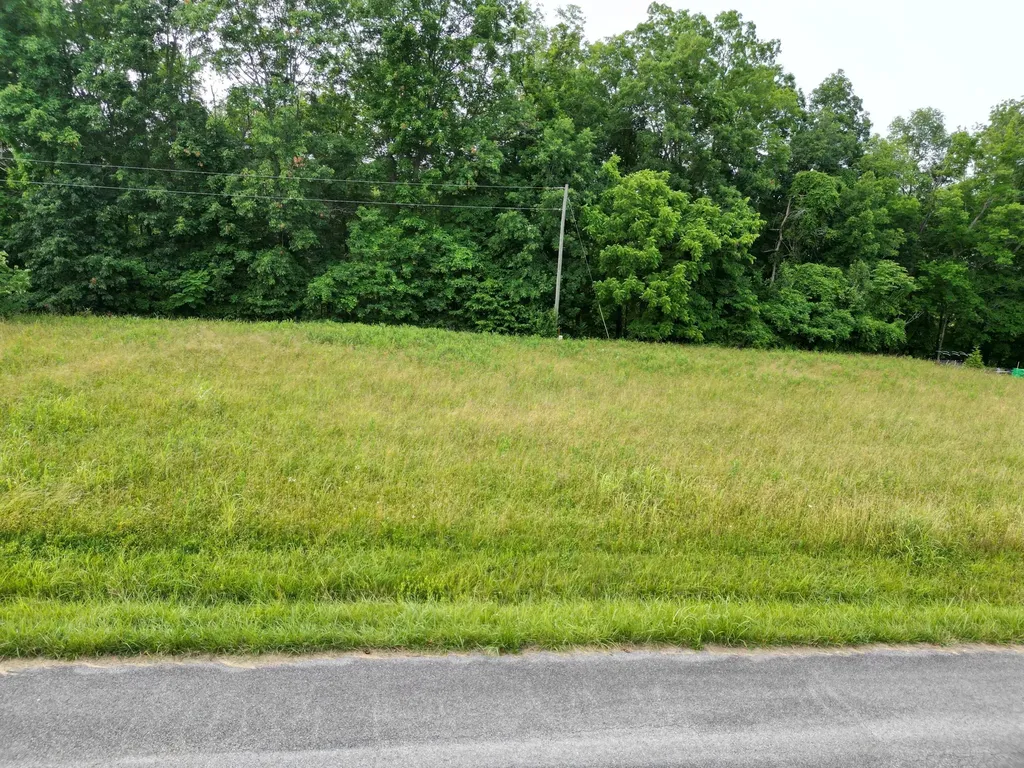 Lot 19 Aarons Lane Russell Springs KY 42642