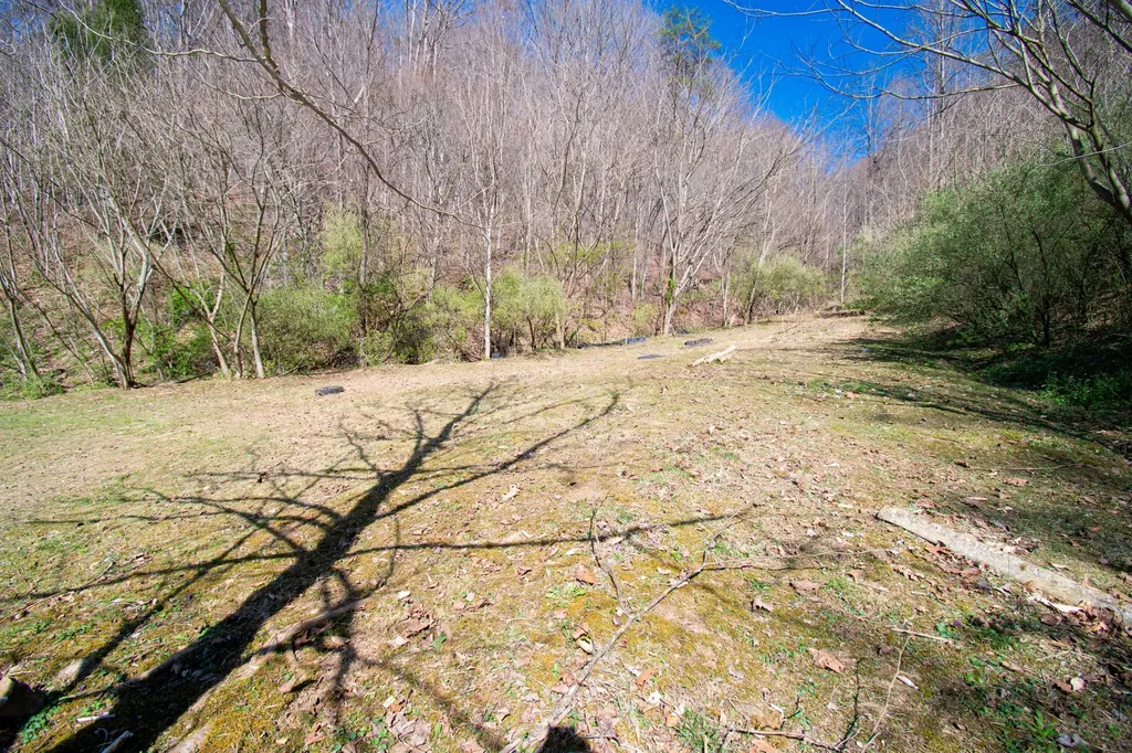 706 Abner Fork Road Belcher KY 41513