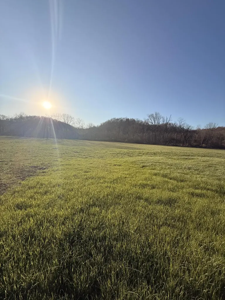 1115 Upper Brush Creek Road Liberty KY 42539