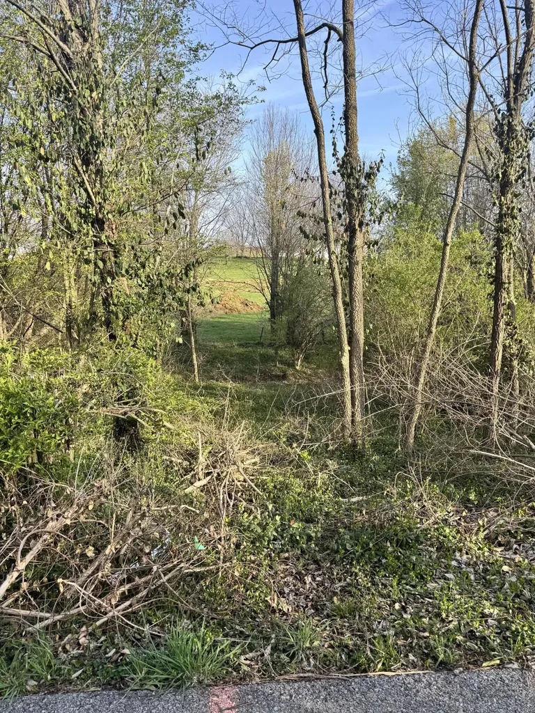 Lot #6 Freeman Lane Salvisa KY 40372