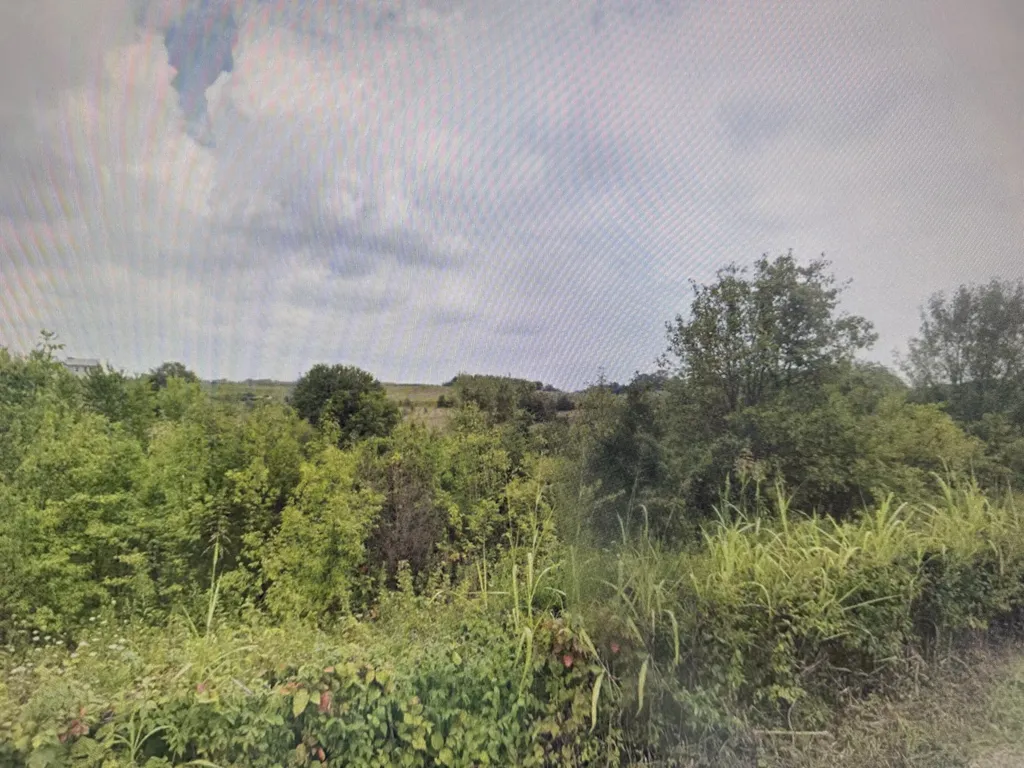 Lot #1 Freeman Lane Salvisa KY 40372