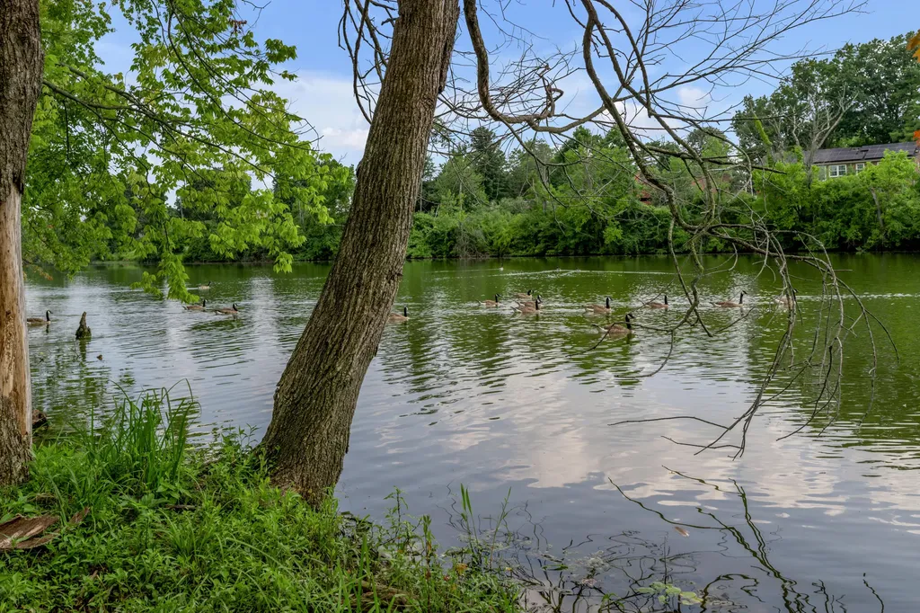 761 Shady Cove Lexington KY 40515