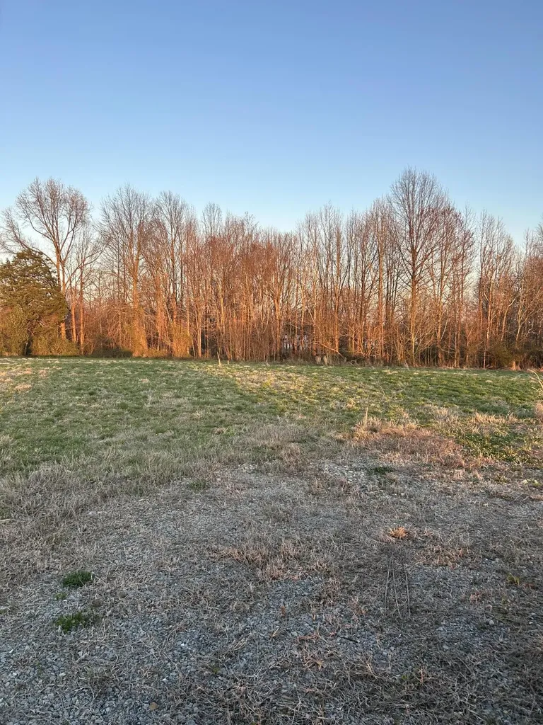 Lot 9 Jonah Kelsey Road Russell Springs KY 42642