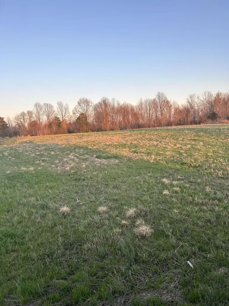 Lot 9 Jonah Kelsey Road Russell Springs KY 42642