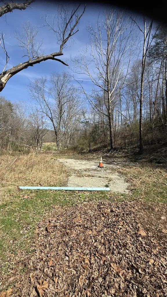 3965 Open Fork Road Morehead KY 40351