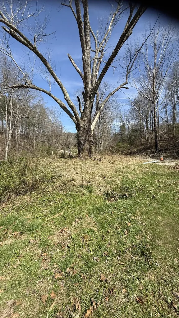 3965 Open Fork Road Morehead KY 40351