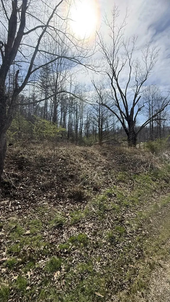 3965 Open Fork Road Morehead KY 40351