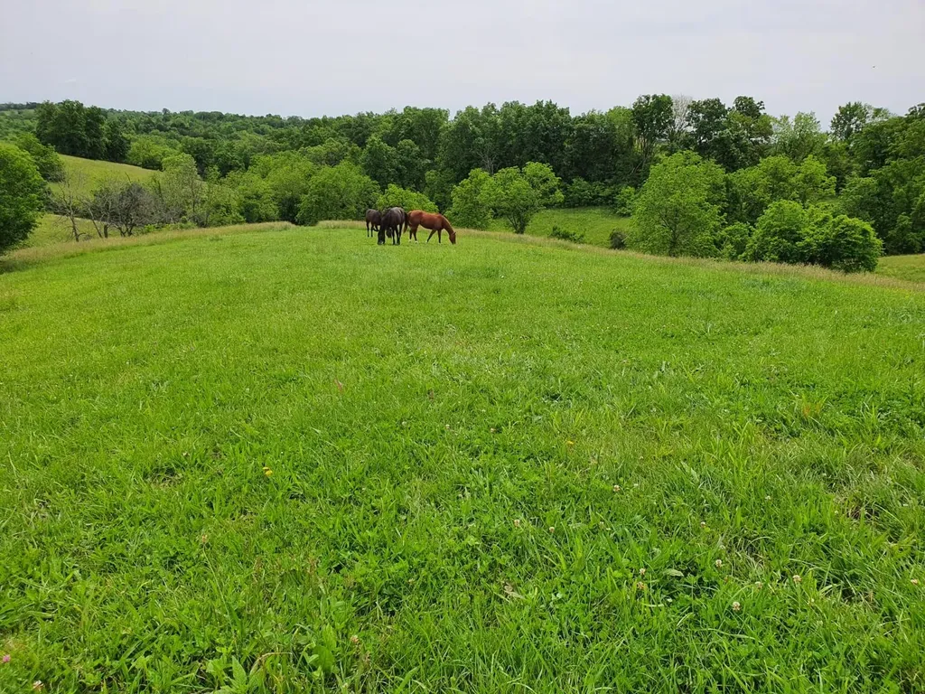 161 Central Pike Harrodsburg KY 40330