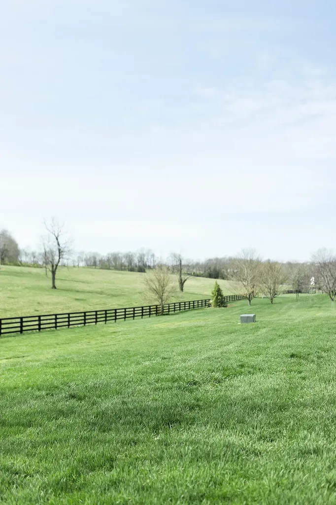 6395 Delaney Ferry Road Versailles KY 40383