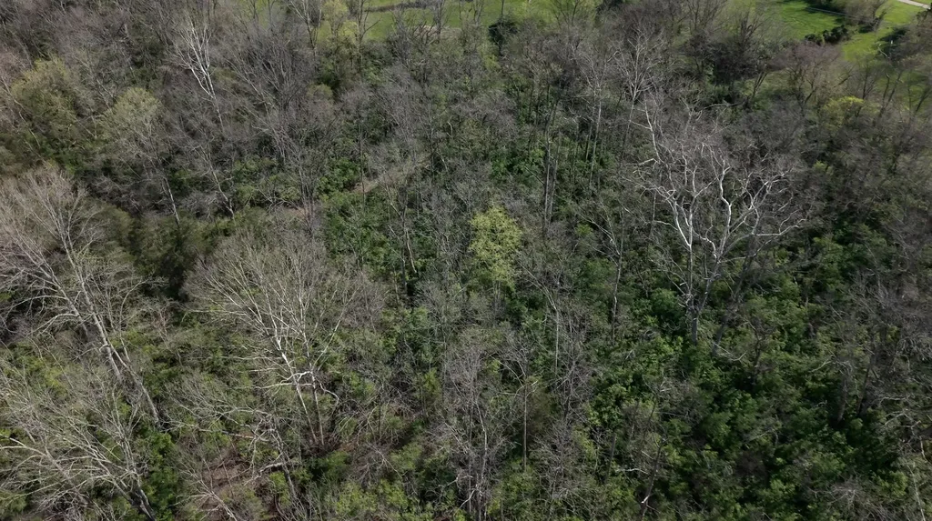 750 Providence Lane Winchester KY 40391