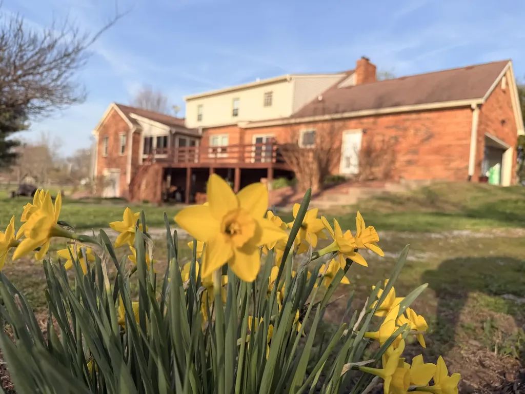 1101 Waddy Road Waddy KY 40076